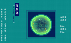 動畫傳媒式
